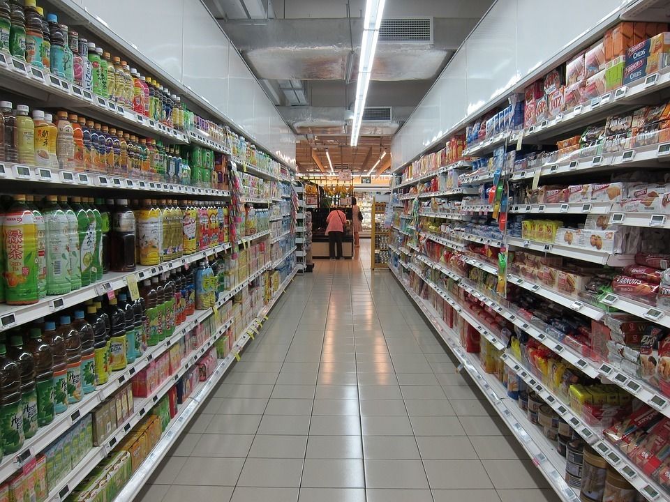 Commercial pest control services