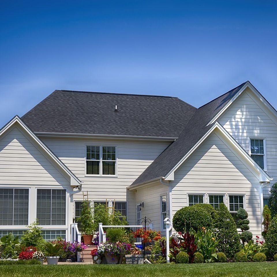 Residential pest control services